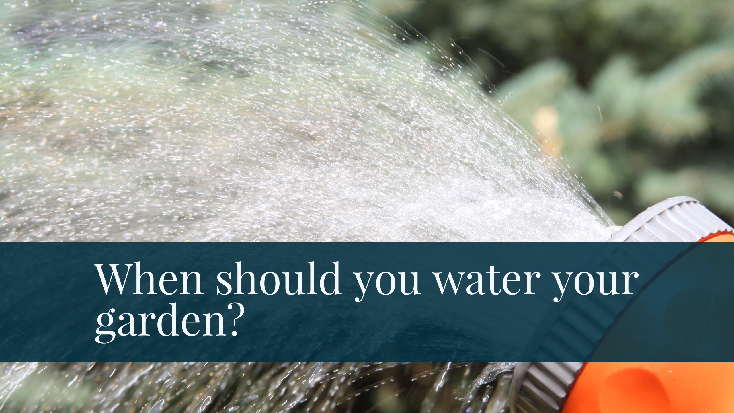 When Should You Water Your Garden K M Wade