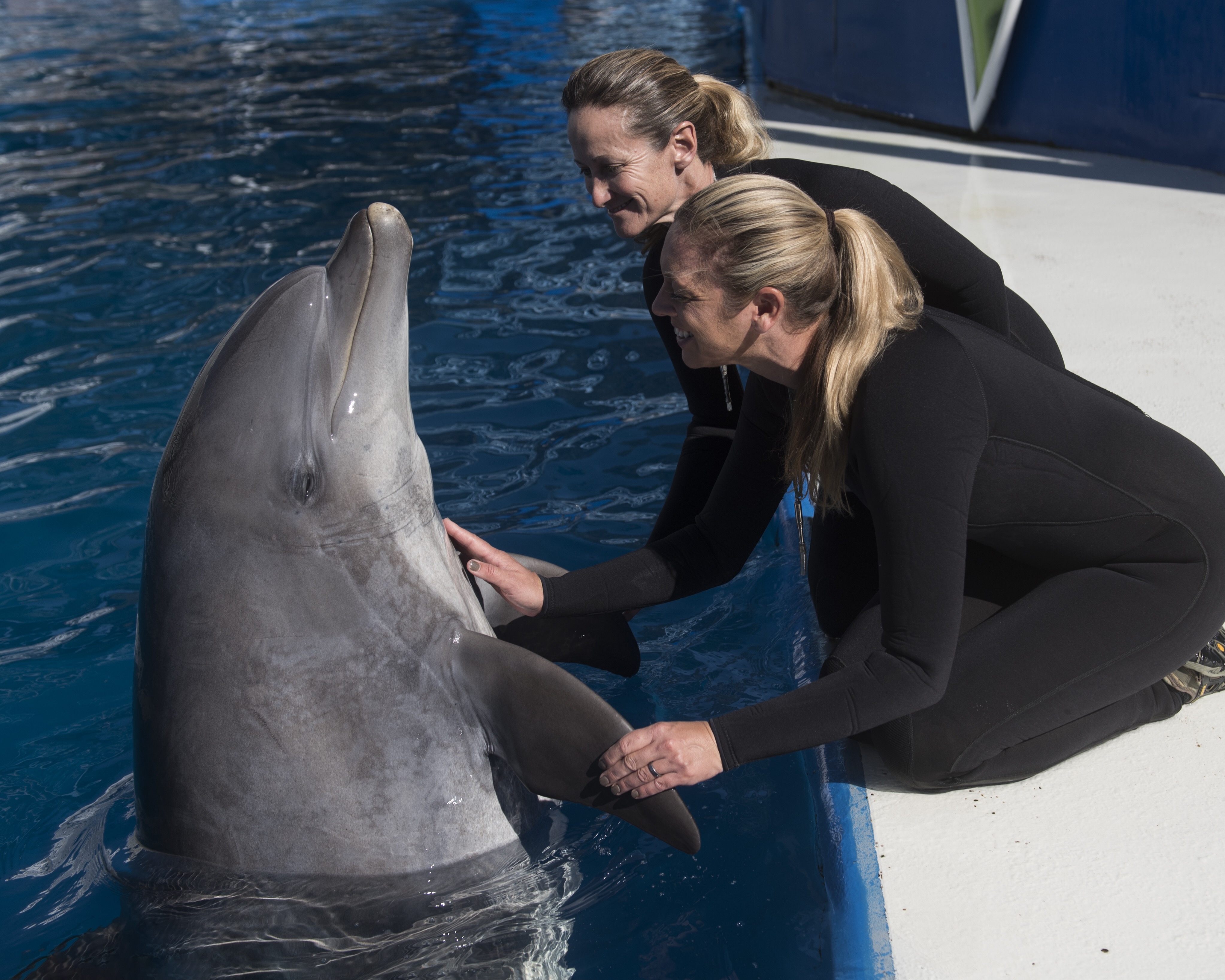 Meet Sandy and trainers Sephanie Jol and Tiffany Haskard (image credit: SeaWorld)