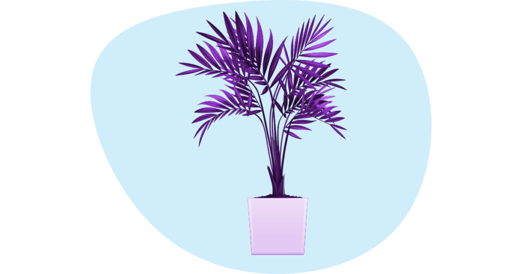 An illustration of a small palm tree like plant on a pot