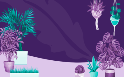 Improve Small Business Mental Health with Plants