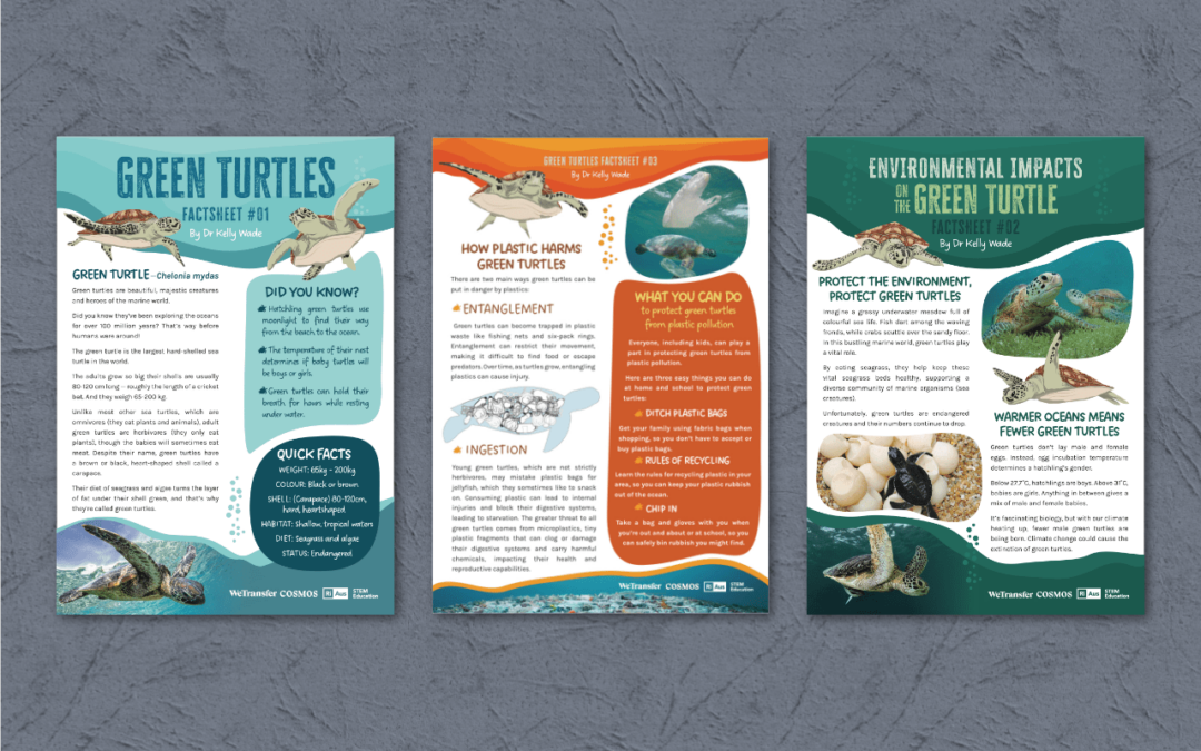 Educational Green Turtle Factsheets — Lead magnet