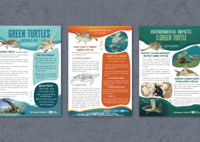 Educational Green Turtle Factsheets — Lead magnet