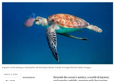 Explore Ocean Wonders and Marine Conservation — Article
